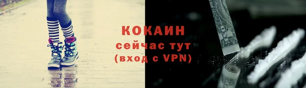 хмурый Липки