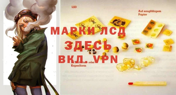 хмурый Липки