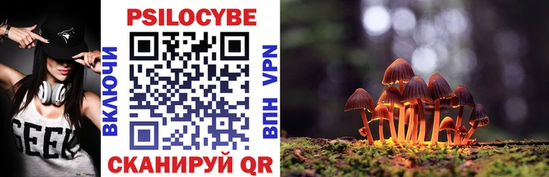как найти закладки  Новоуральск  Галлюциногенные грибы Cubensis 
